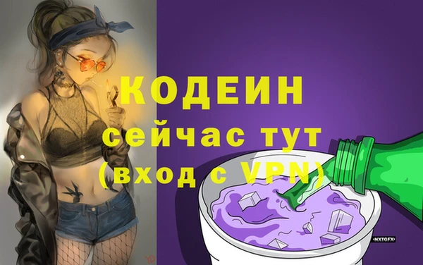 стаф Осташков
