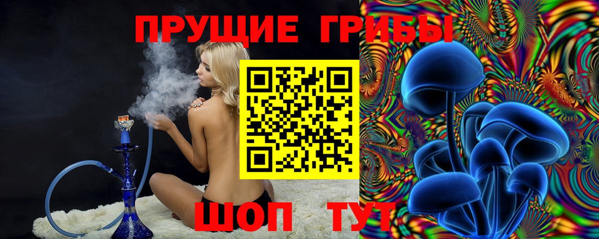 купить закладку  Вход с VPN  Псилоцибиновые грибы Cubensis  Абакан  Псилоцибиновые грибы Psilocybe 
