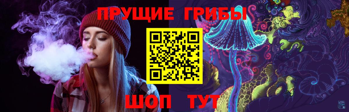 Галлюциногенные грибы прущие грибы Абакан